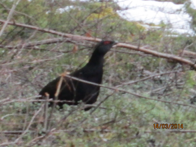 Valokuvaaja: Tuula Makkonen