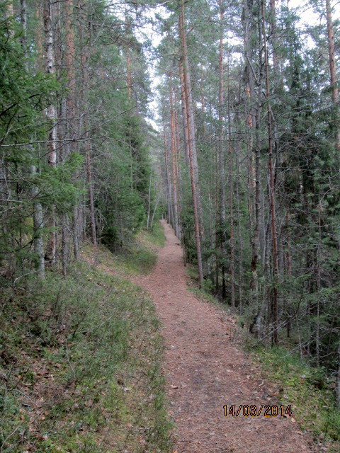 Valokuvaaja: Tuula Makkonen