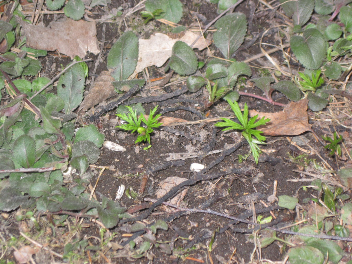 Valokuvaaja: Timo Kangas