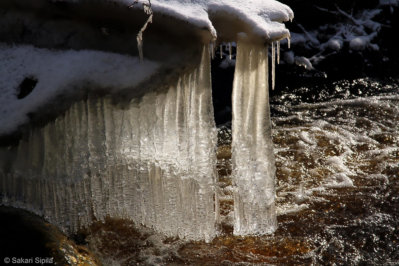 Valokuvaaja: Sakari Sipilä