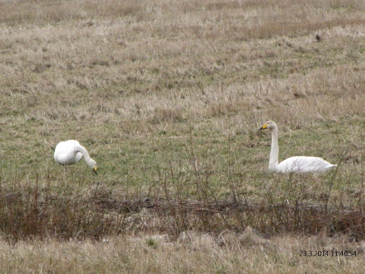 Valokuvaaja: Tuula Makkonen Valokuvaaja: Tuula Makkonen