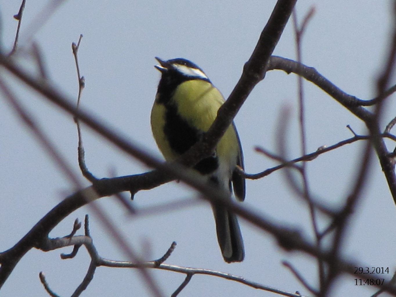 Valokuvaaja: Tuula Makkonen