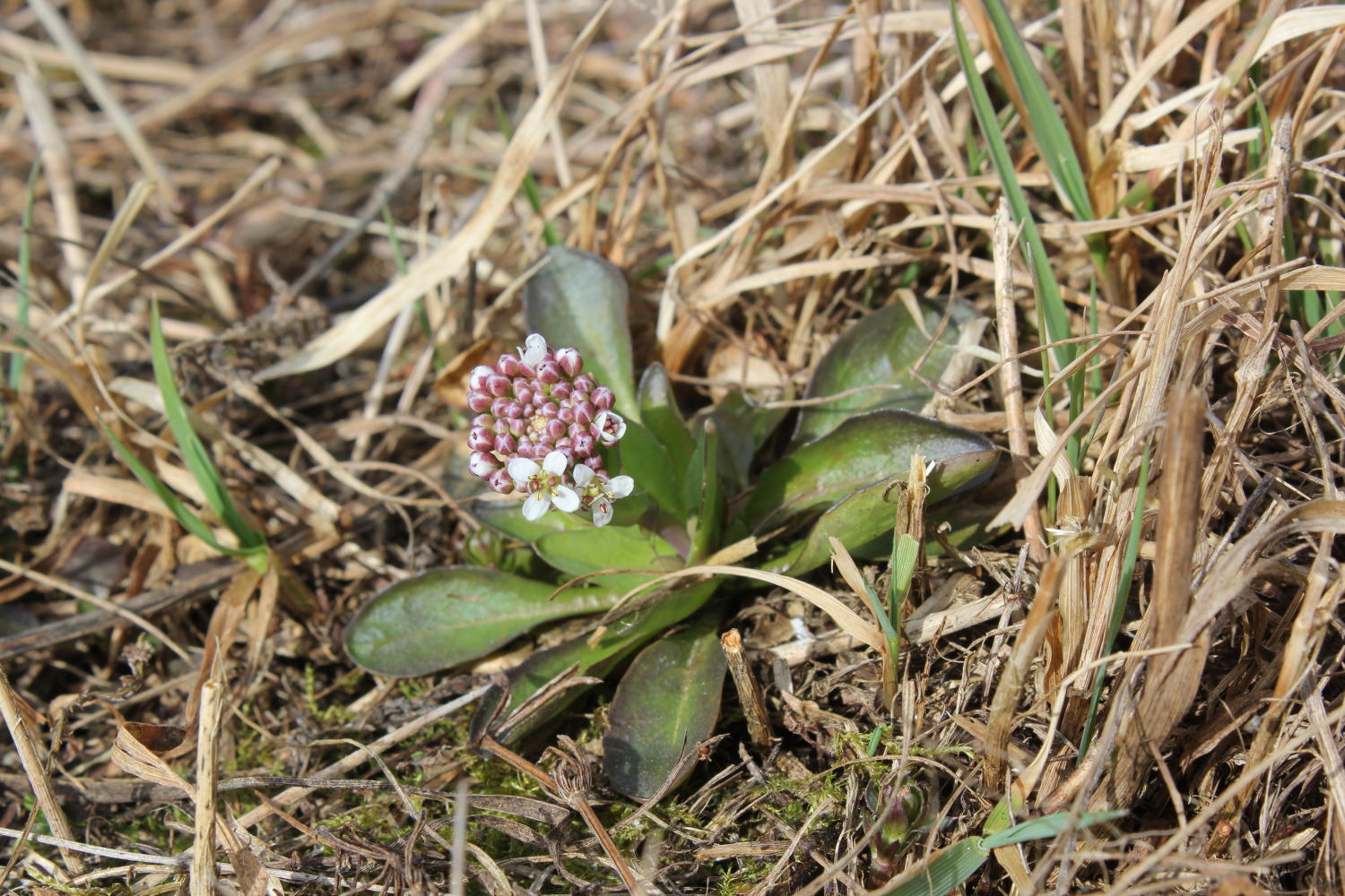Valokuvaaja: Lars Winberg