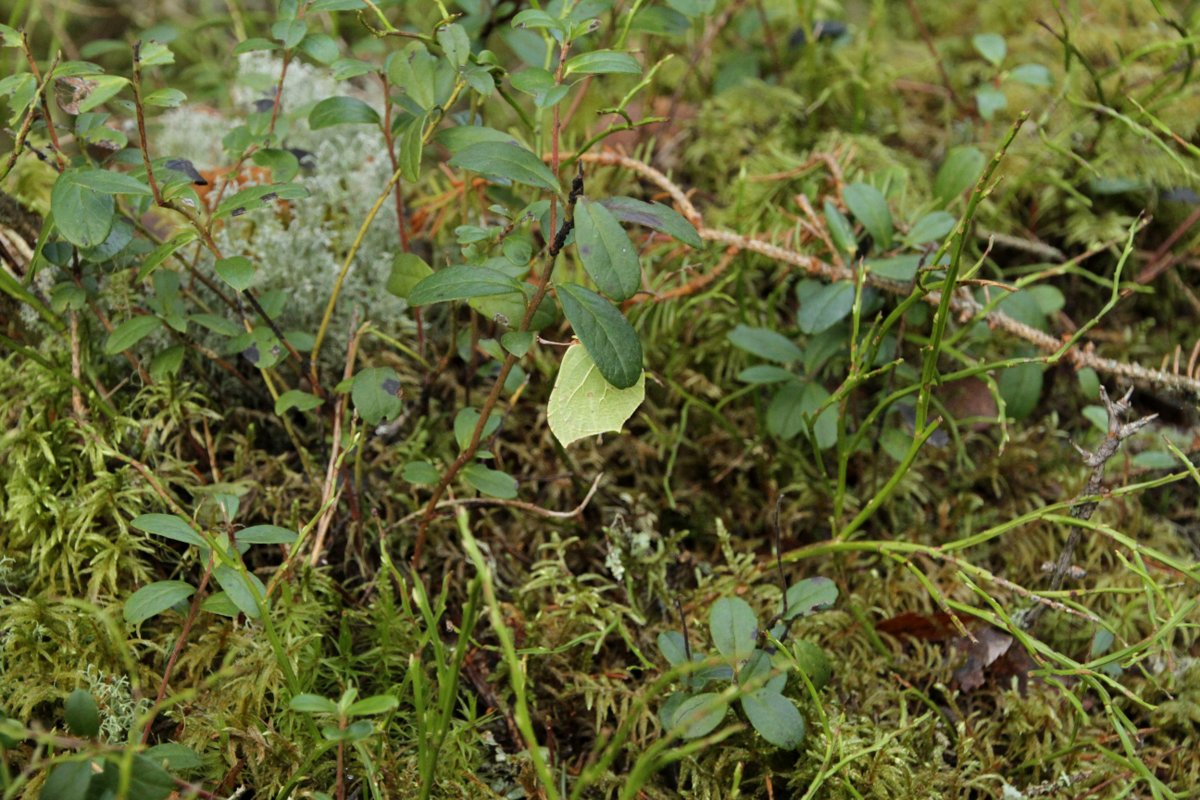 Valokuvaaja: Kari Aaltonen