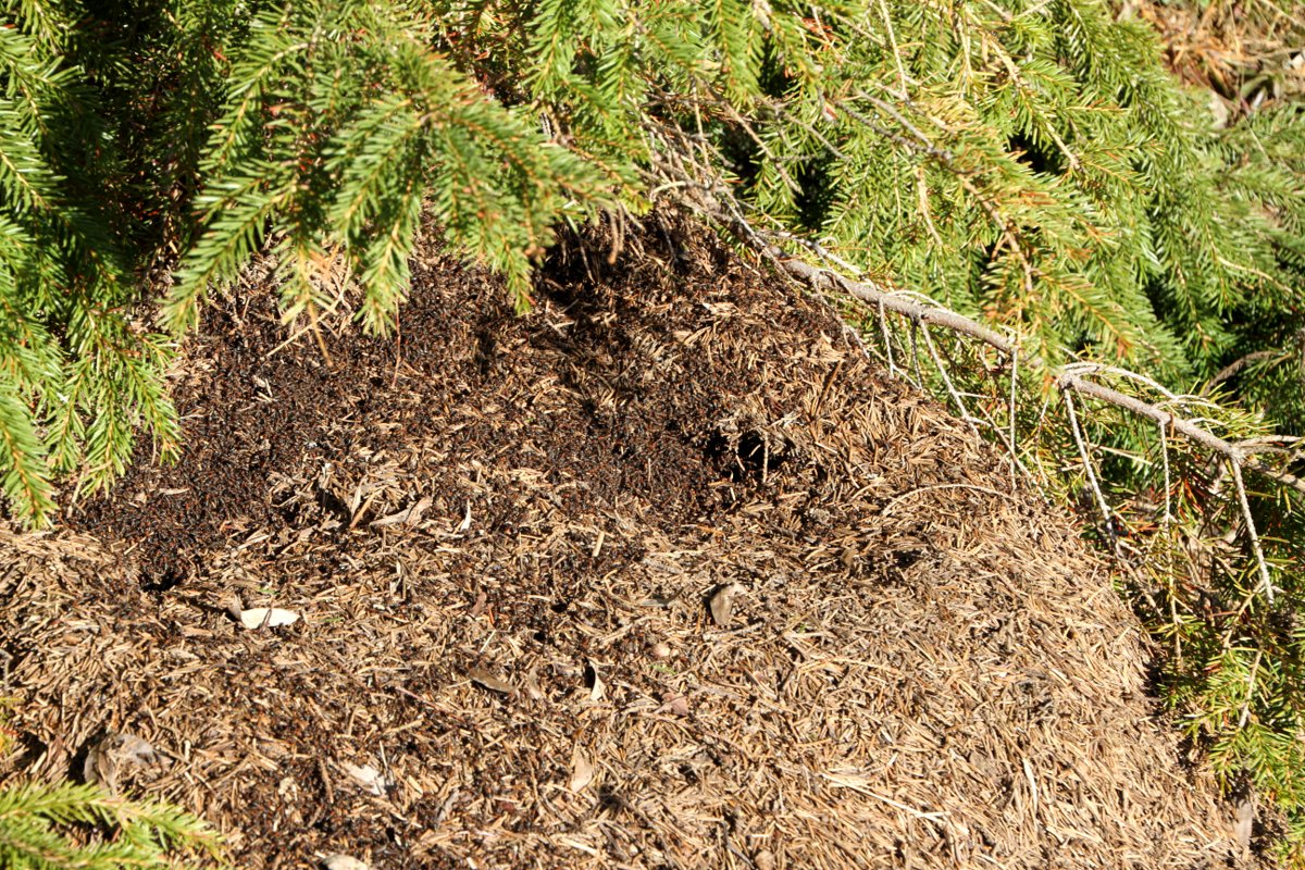 Valokuvaaja: Kari Aaltonen