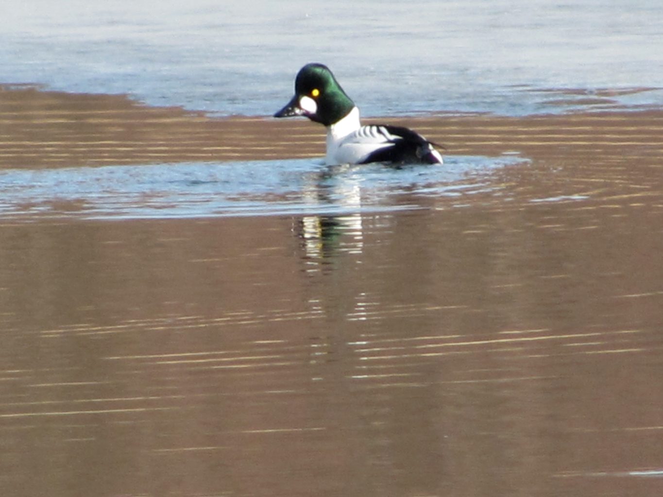 Valokuvaaja: Mervi M. Utria