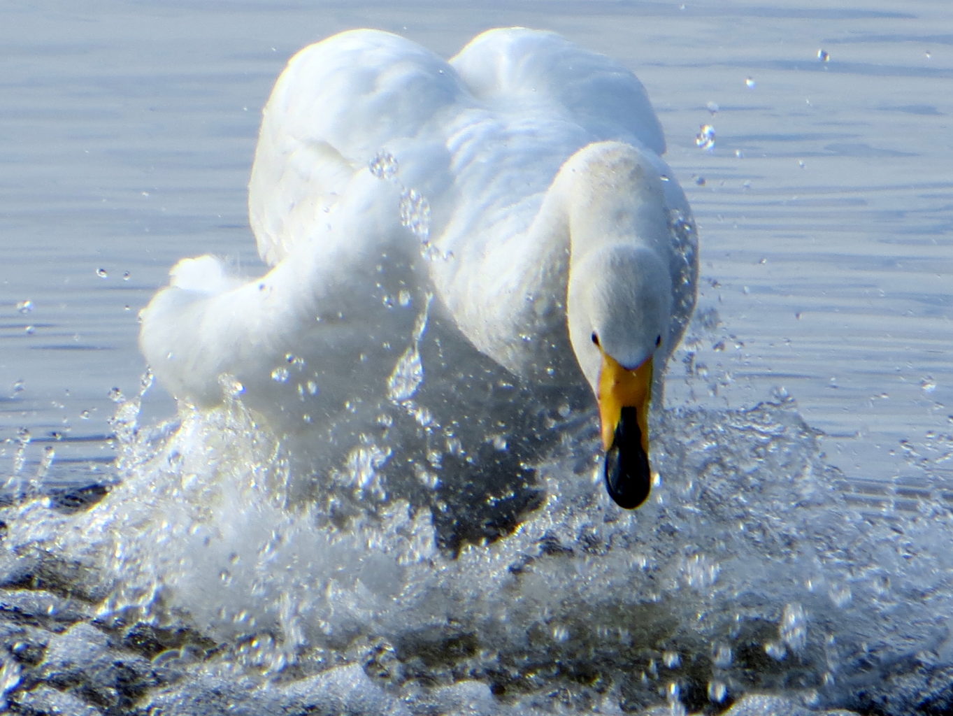 Valokuvaaja: Sirkka Ruotoistenmäki