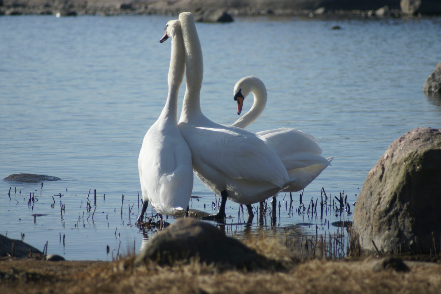 Valokuvaaja: Johanna Kare