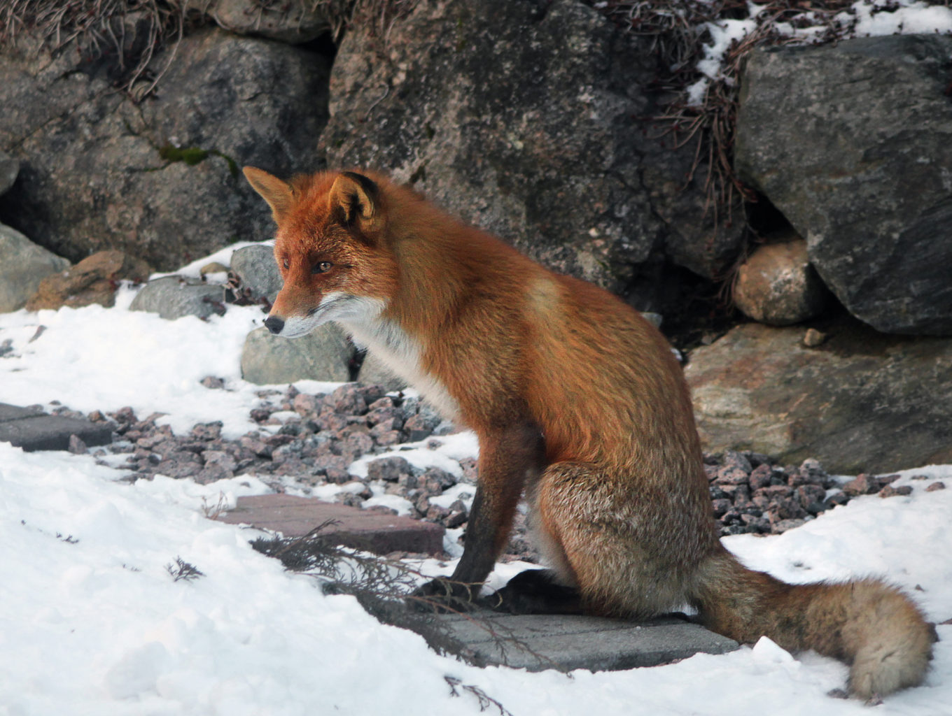 Valokuvaaja: Tarja Porkkala