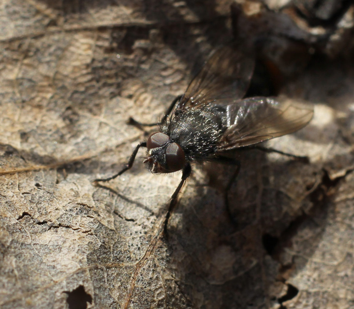 Valokuvaaja: Tarja Porkkala