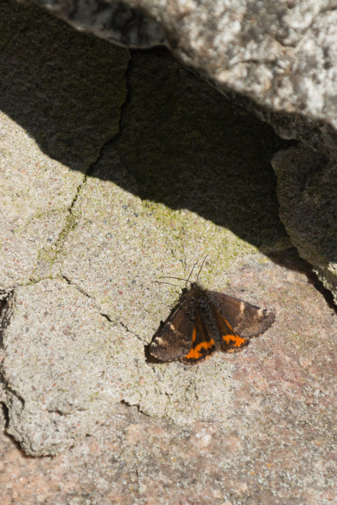 Valokuvaaja: Jari Parkkunen