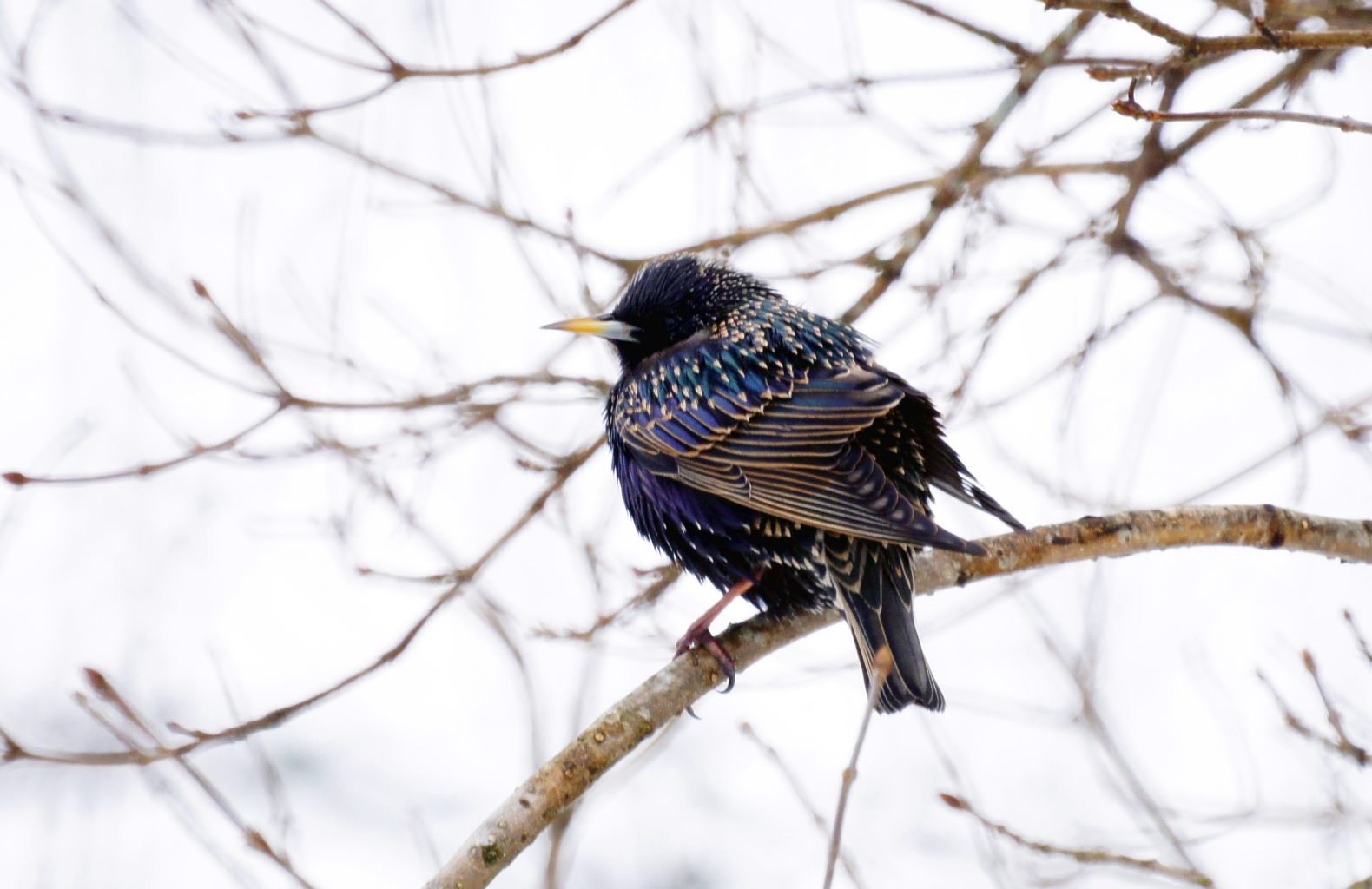 Valokuvaaja: Simo Pilpola