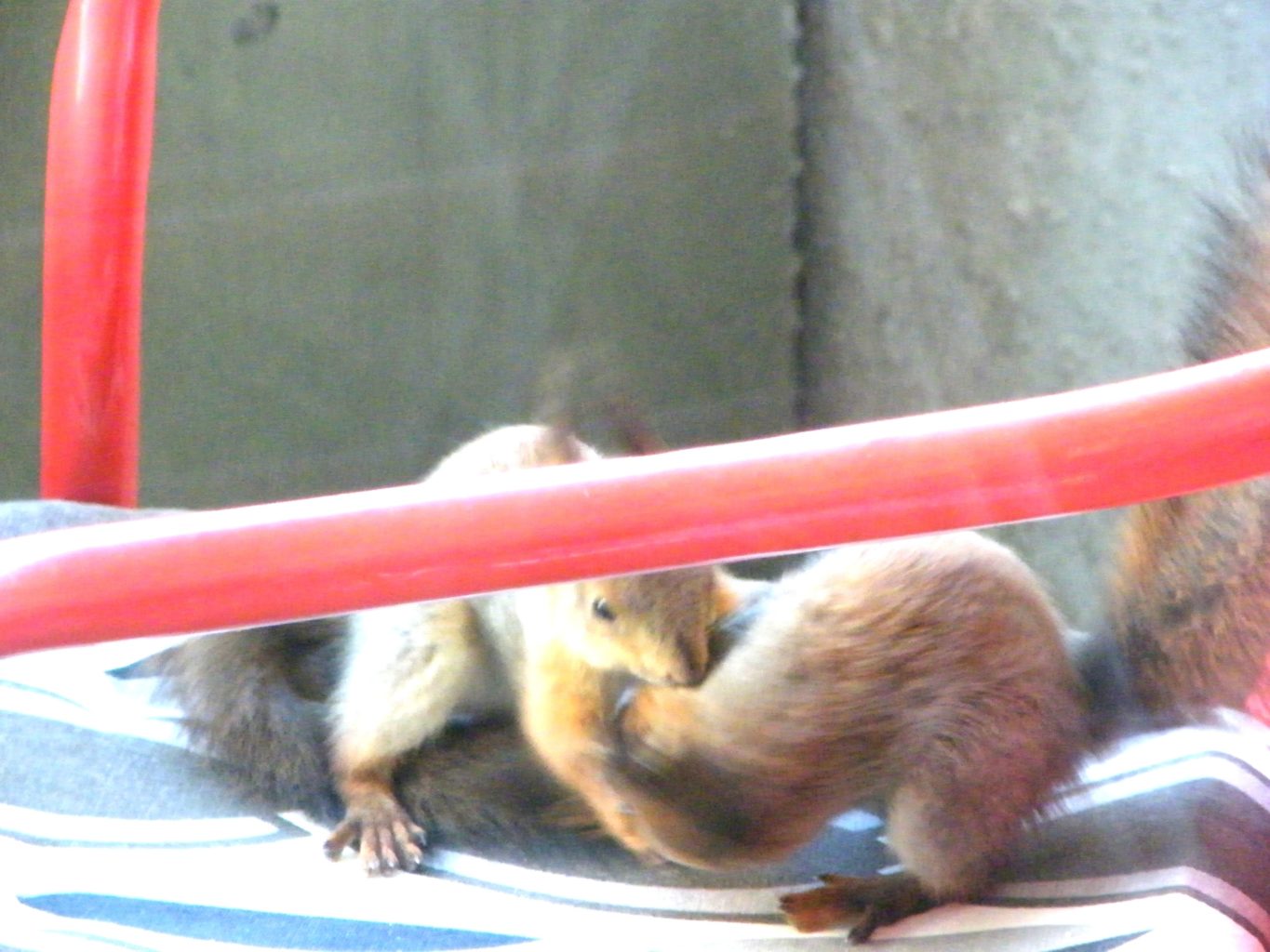 Valokuvaaja: Marjatta Nevalainen