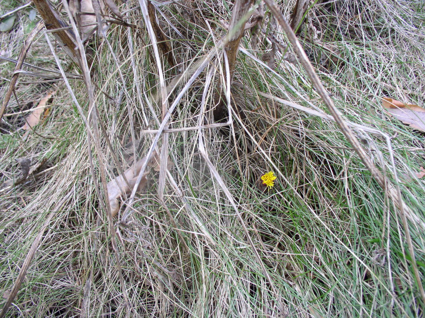 Valokuvaaja: Eila Anttila