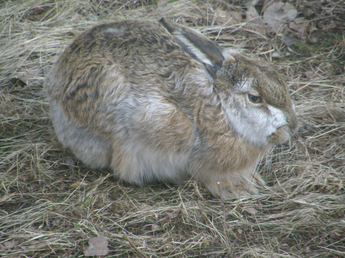 Valokuvaaja: Tenho Leuanniemi