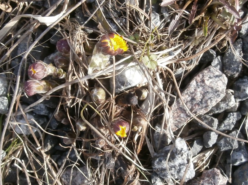 Valokuvaaja: Taina Kankare