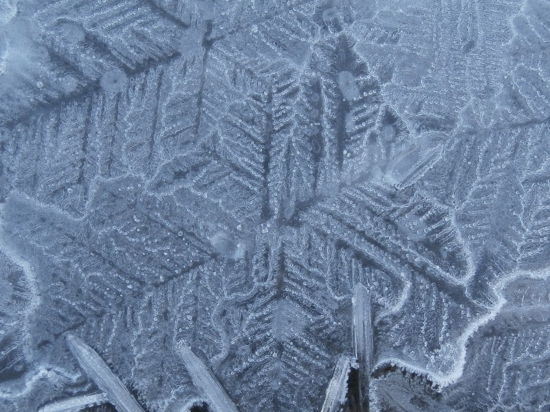 Valokuvaaja: Taina Kankare Valokuvaaja: Taina Kankare