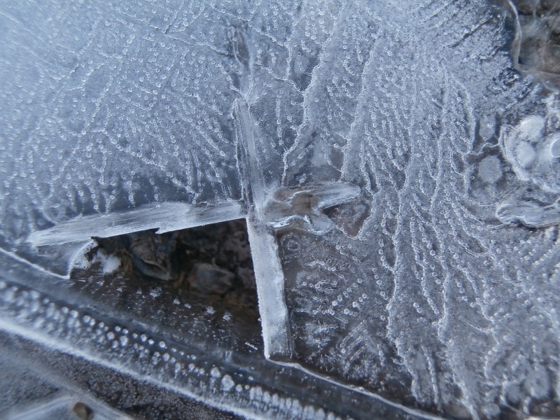 Valokuvaaja: Taina Kankare