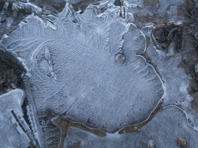 Valokuvaaja: Taina Kankare
