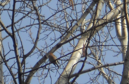 Valokuvaaja: Tiina Arlin