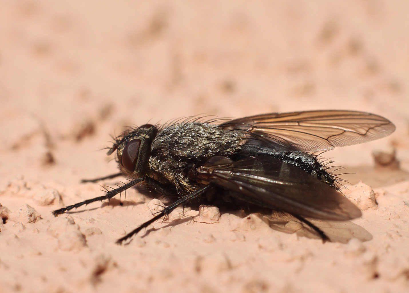 Valokuvaaja: Tarja Porkkala