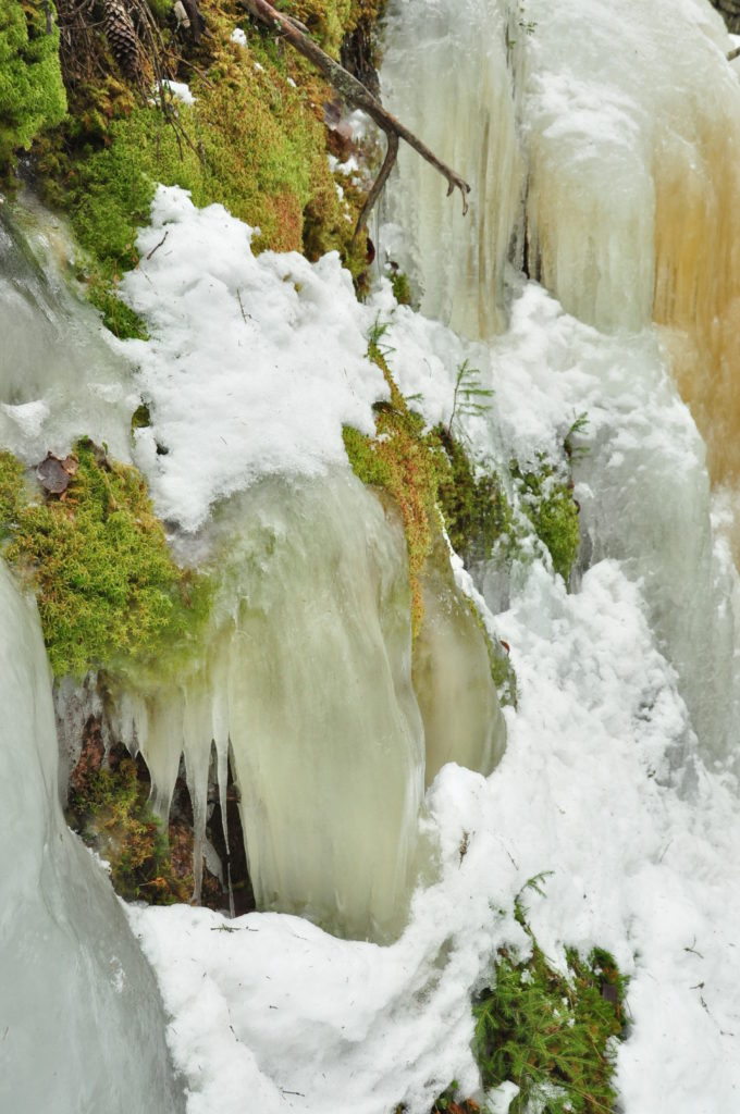 Valokuvaaja: Seppo Kupiainen Valokuvaaja: Seppo Kupiainen