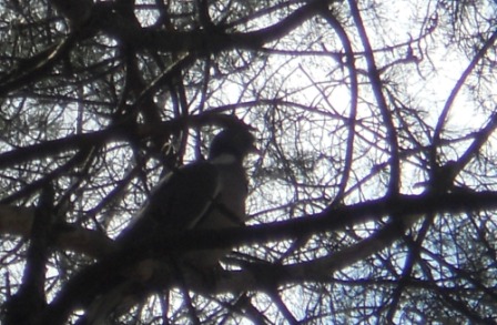 Valokuvaaja: Tiina Arlin