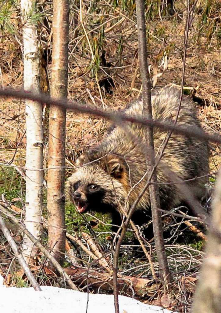 Valokuvaaja: Sissu Nevalainen Valokuvaaja: Sissu Nevalainen