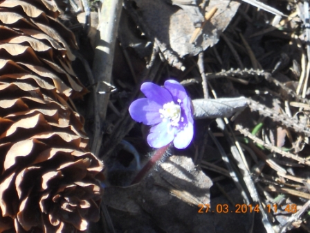 Valokuvaaja: Tiina Arlin