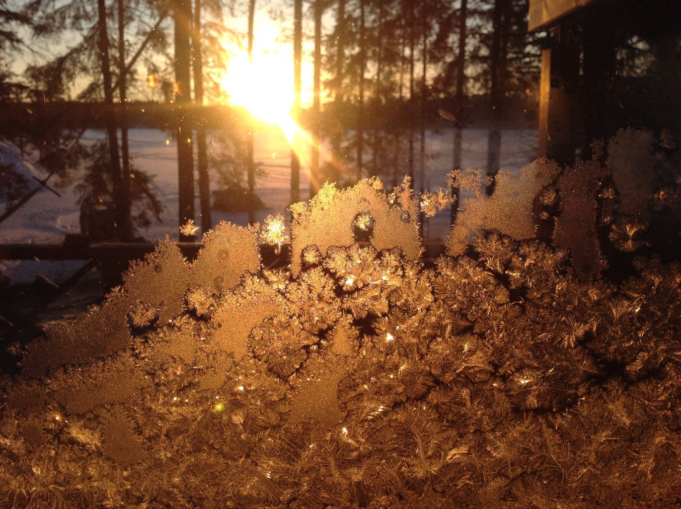 Valokuvaaja: Sirpa Kari-Nano