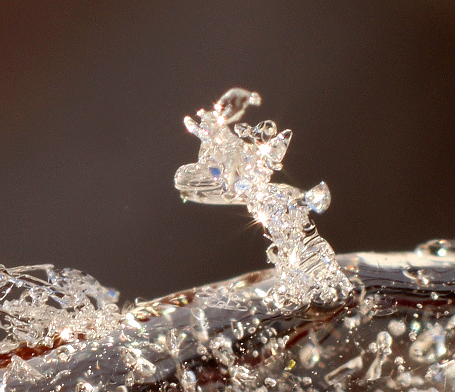 Valokuvaaja: Tarja Porkkala