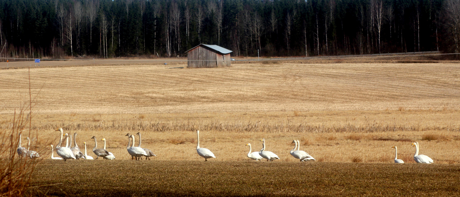 Valokuvaaja: marjo-riita le maut