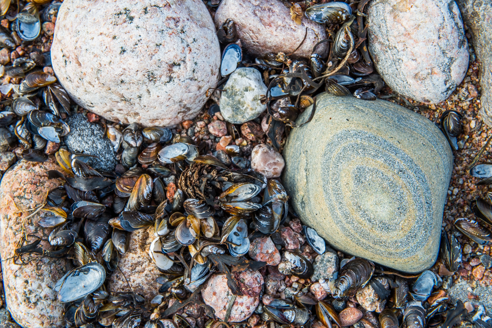 Valokuvaaja: Toni Limnell
