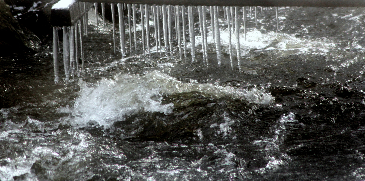 Valokuvaaja: marjo-riita le maut