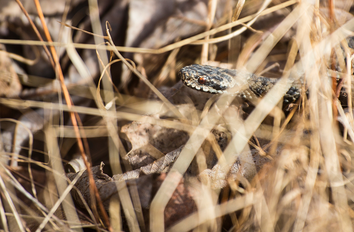 Valokuvaaja: Pasi kannisto