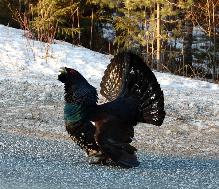 Valokuvaaja: Anu Seppänen