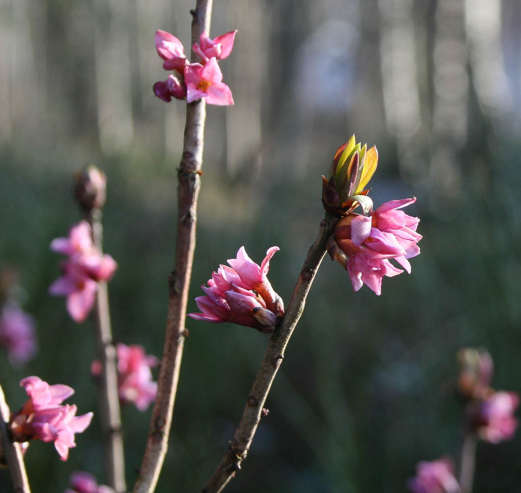 Valokuvaaja: Seija Wilen
