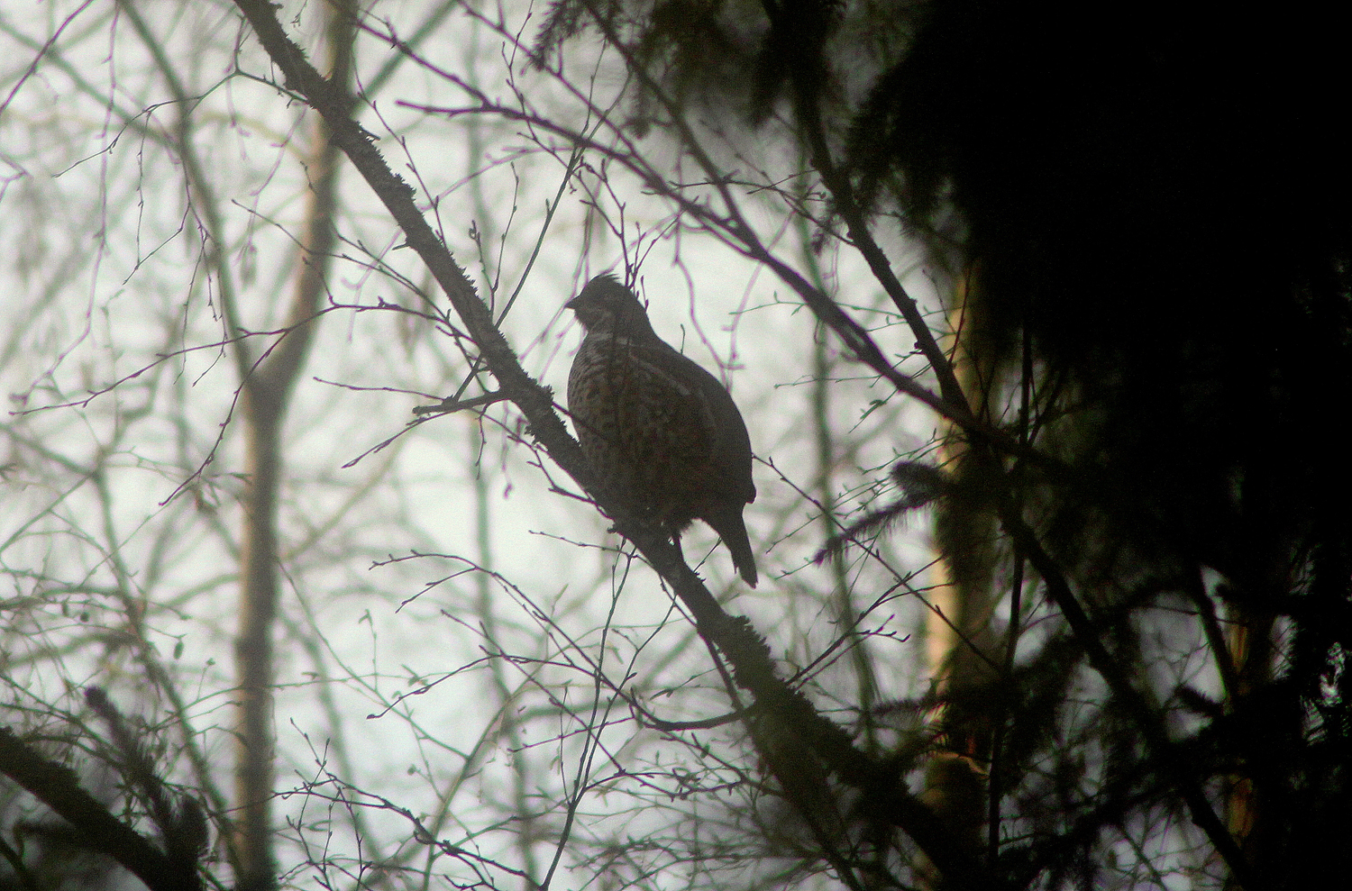 Valokuvaaja: marjo-riita le maut Valokuvaaja: marjo-riita le maut