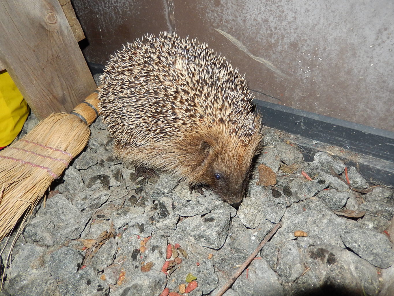 Valokuvaaja: Pirkko Siukonen