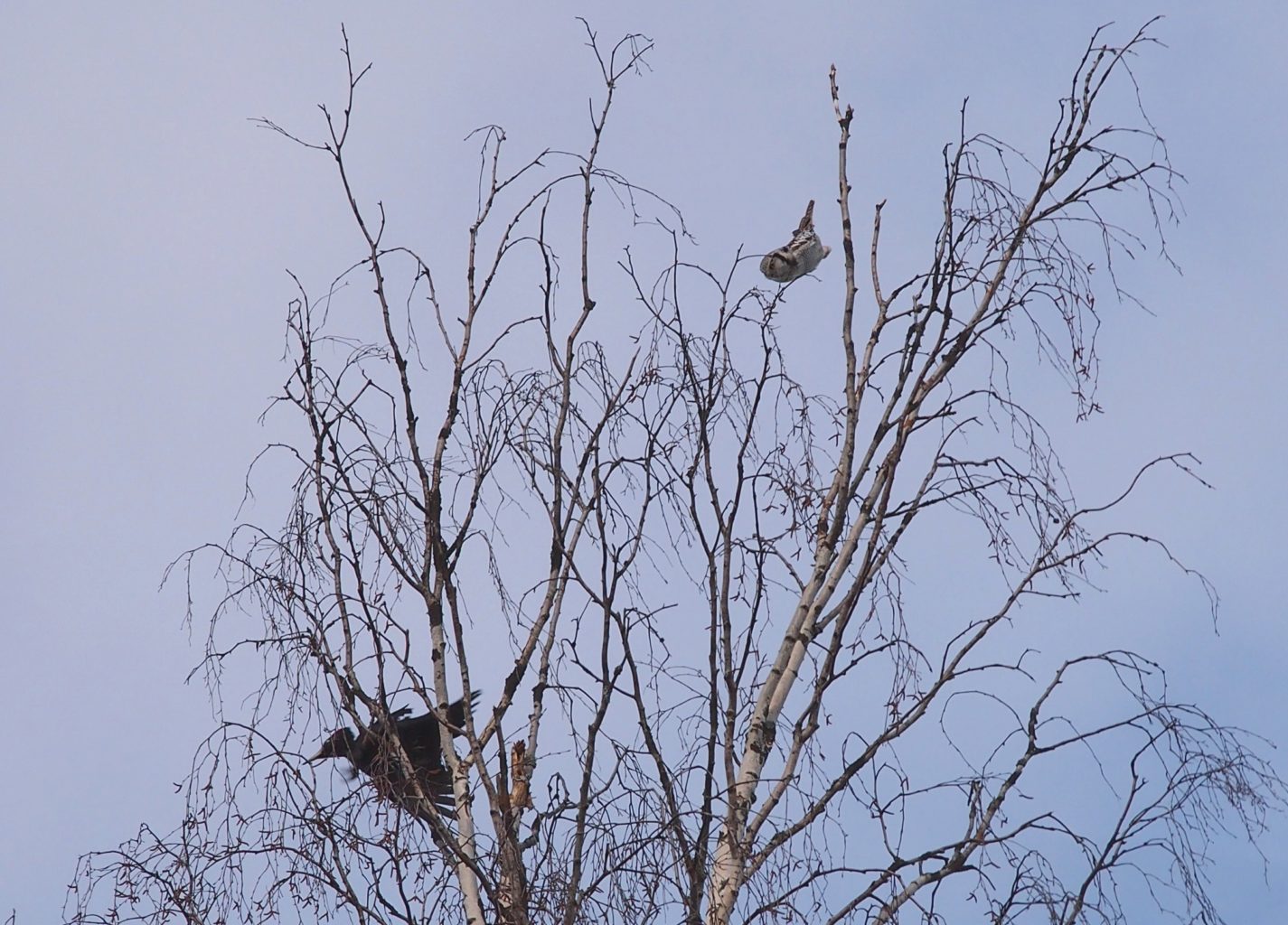 Valokuvaaja: Eero Valanko Valokuvaaja: Eero Valanko