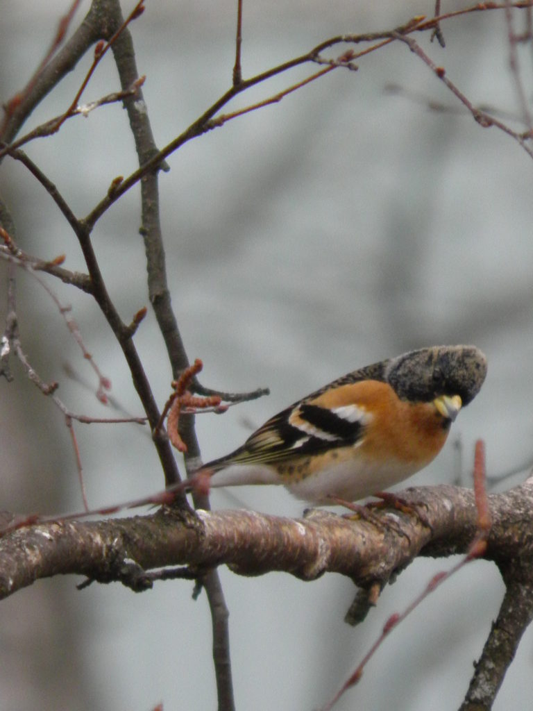 Valokuvaaja: terhi viiala