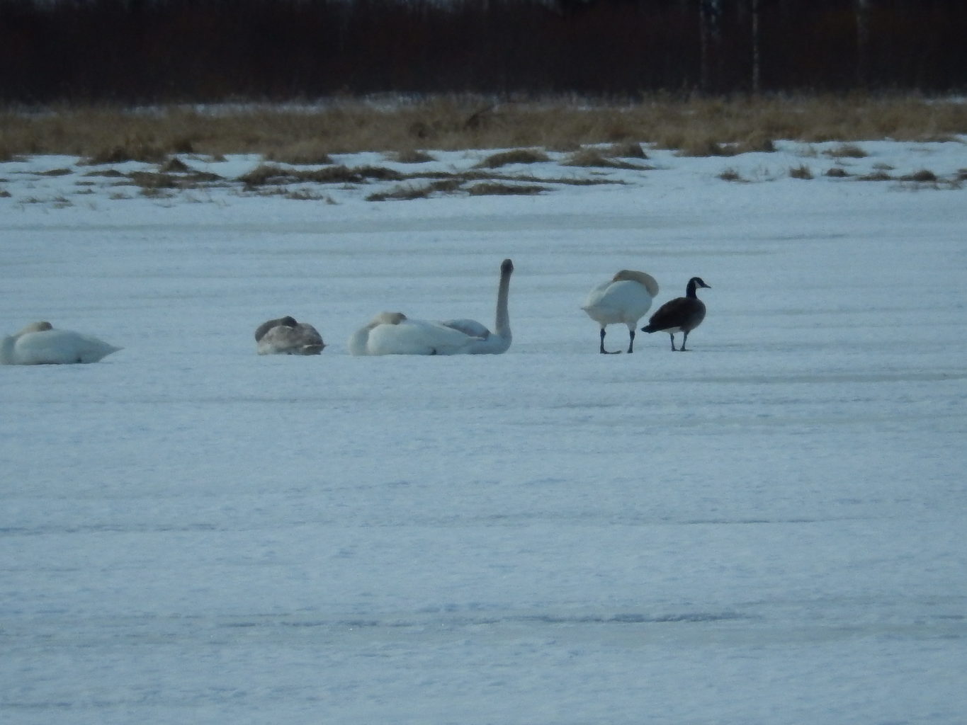 Valokuvaaja: Pirkko Siukonen