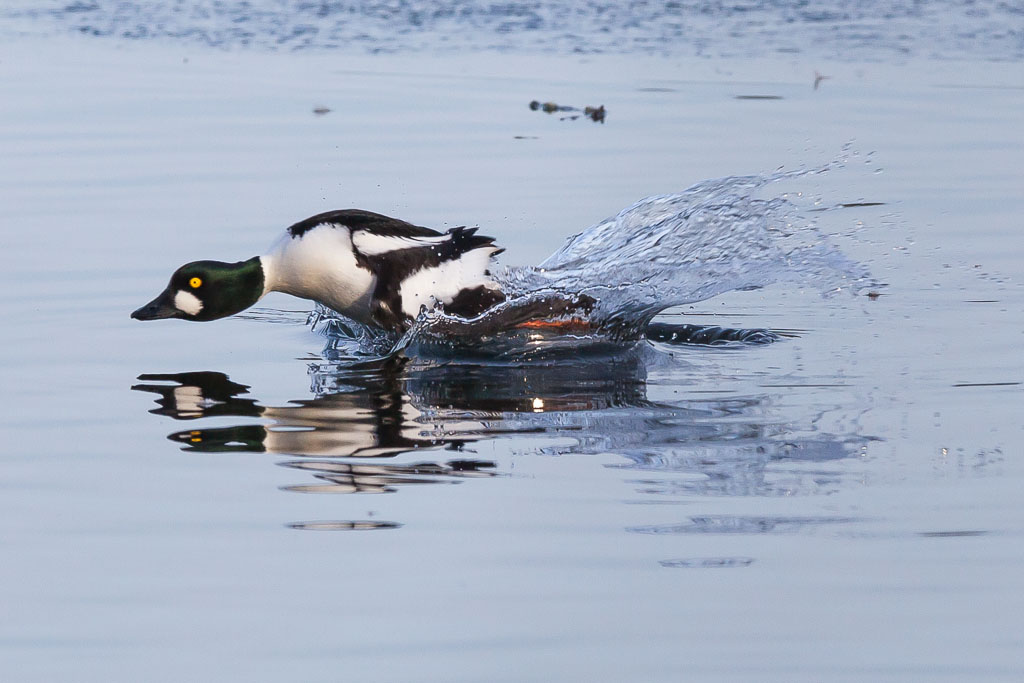 Valokuvaaja: Juha Mettälä