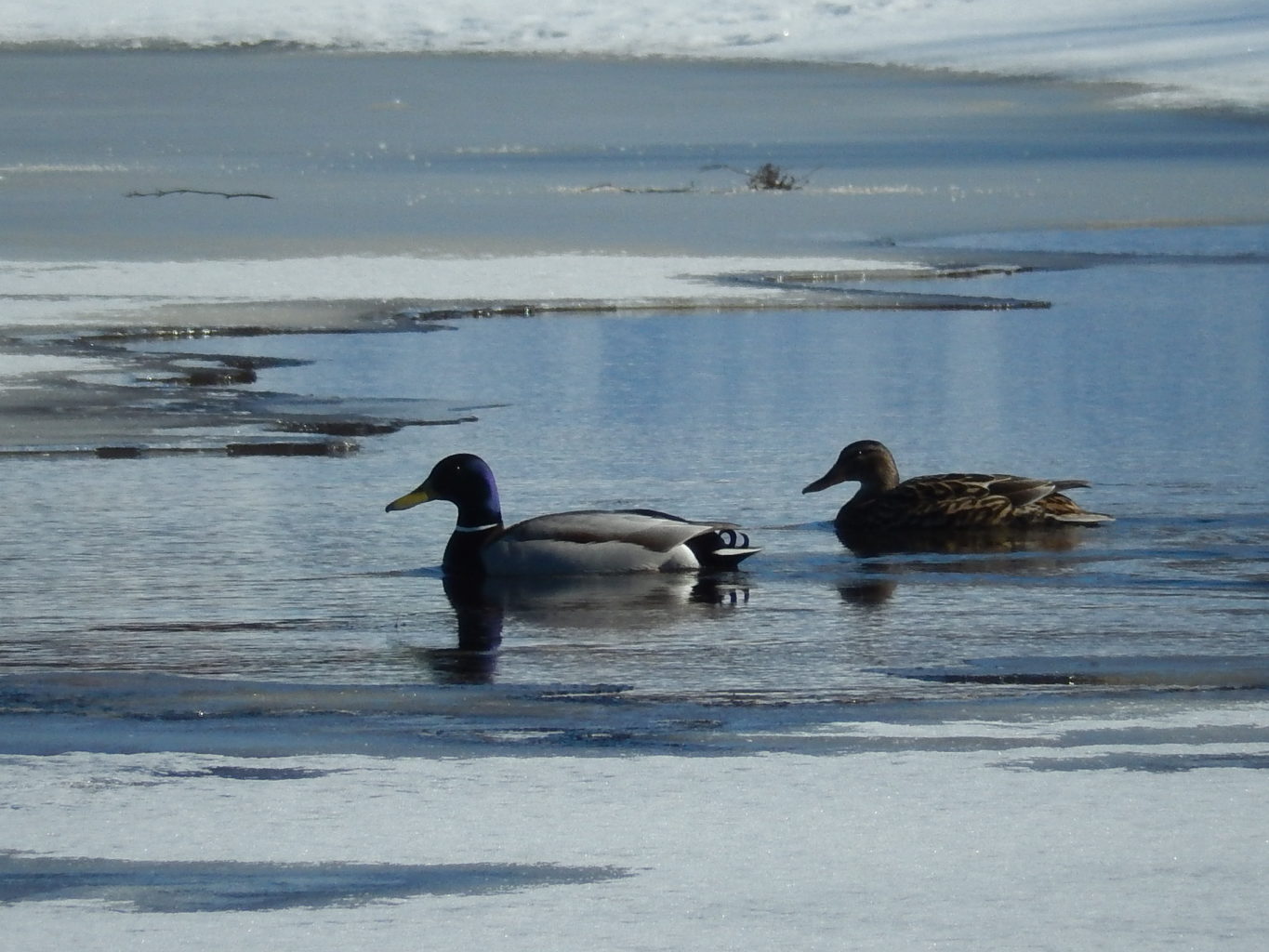 Valokuvaaja: Pirkko Siukonen