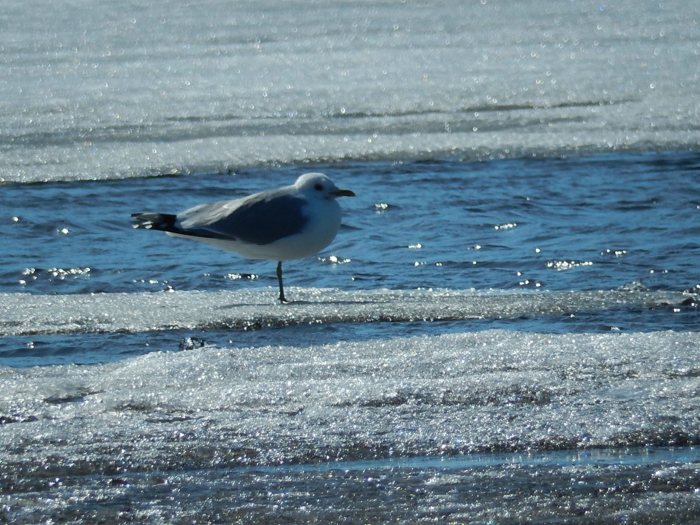 Valokuvaaja: Pirkko Siukonen