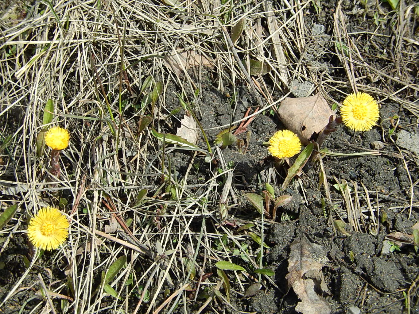 Valokuvaaja: Pirkko Siukonen