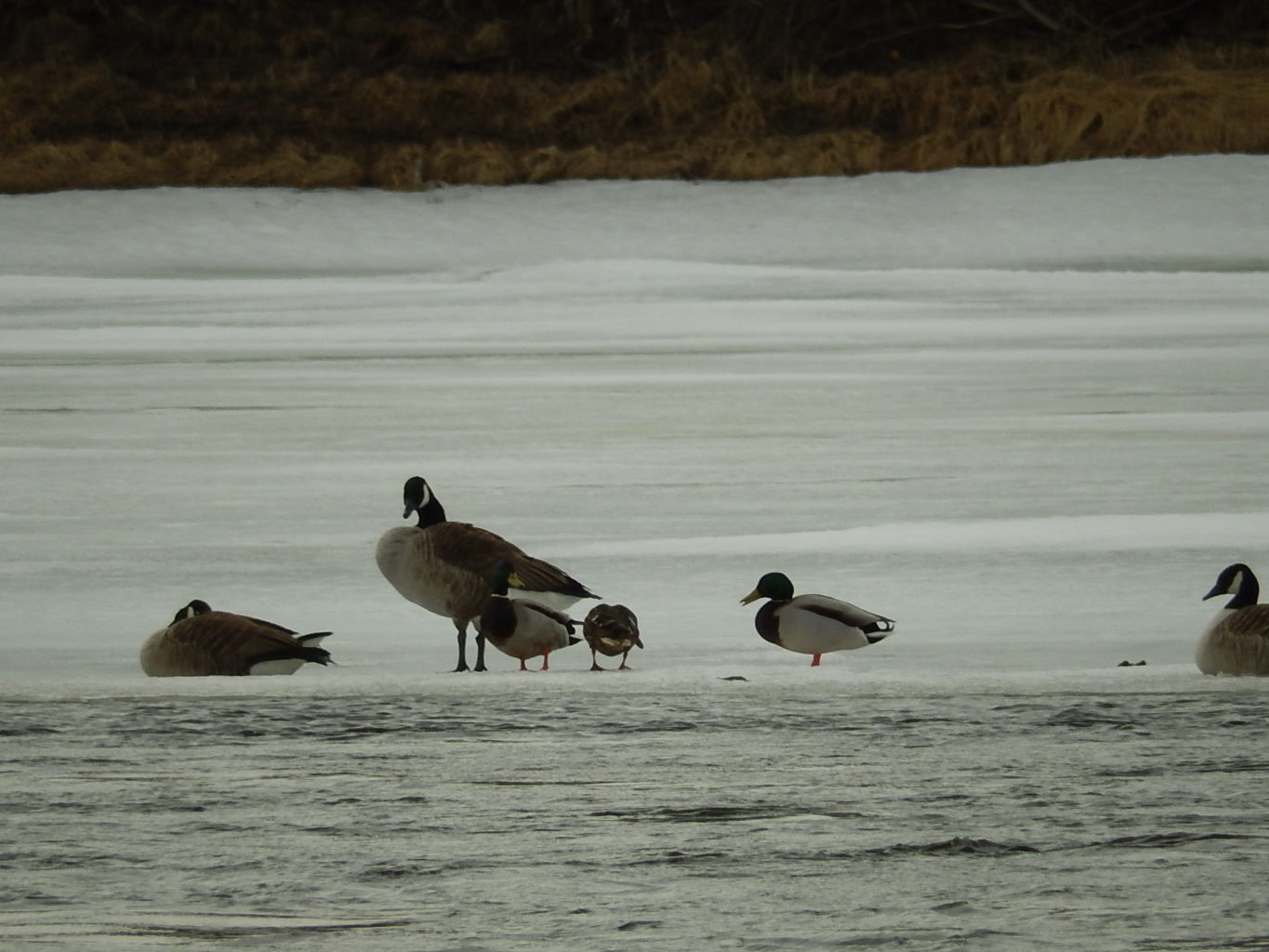 Valokuvaaja: Pirkko Siukonen