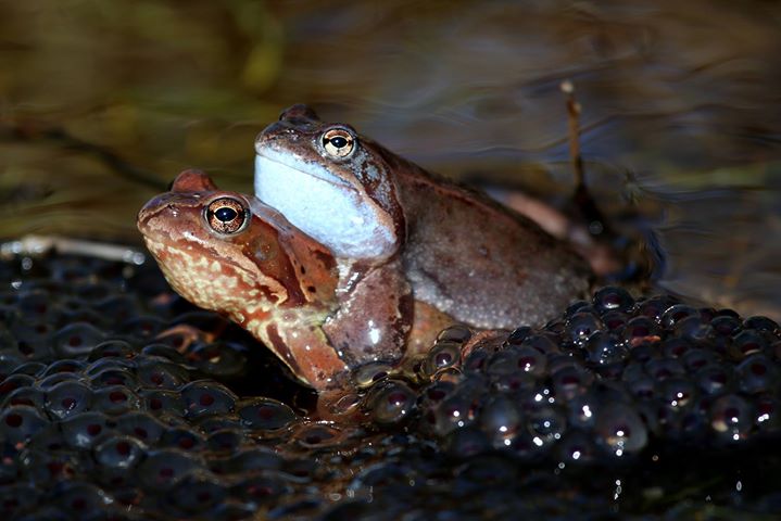 Valokuvaaja: Satu Vaarula Valokuvaaja: Satu Vaarula