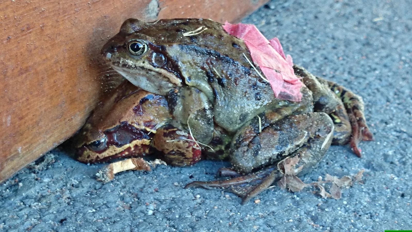 Valokuvaaja: Minna Aho