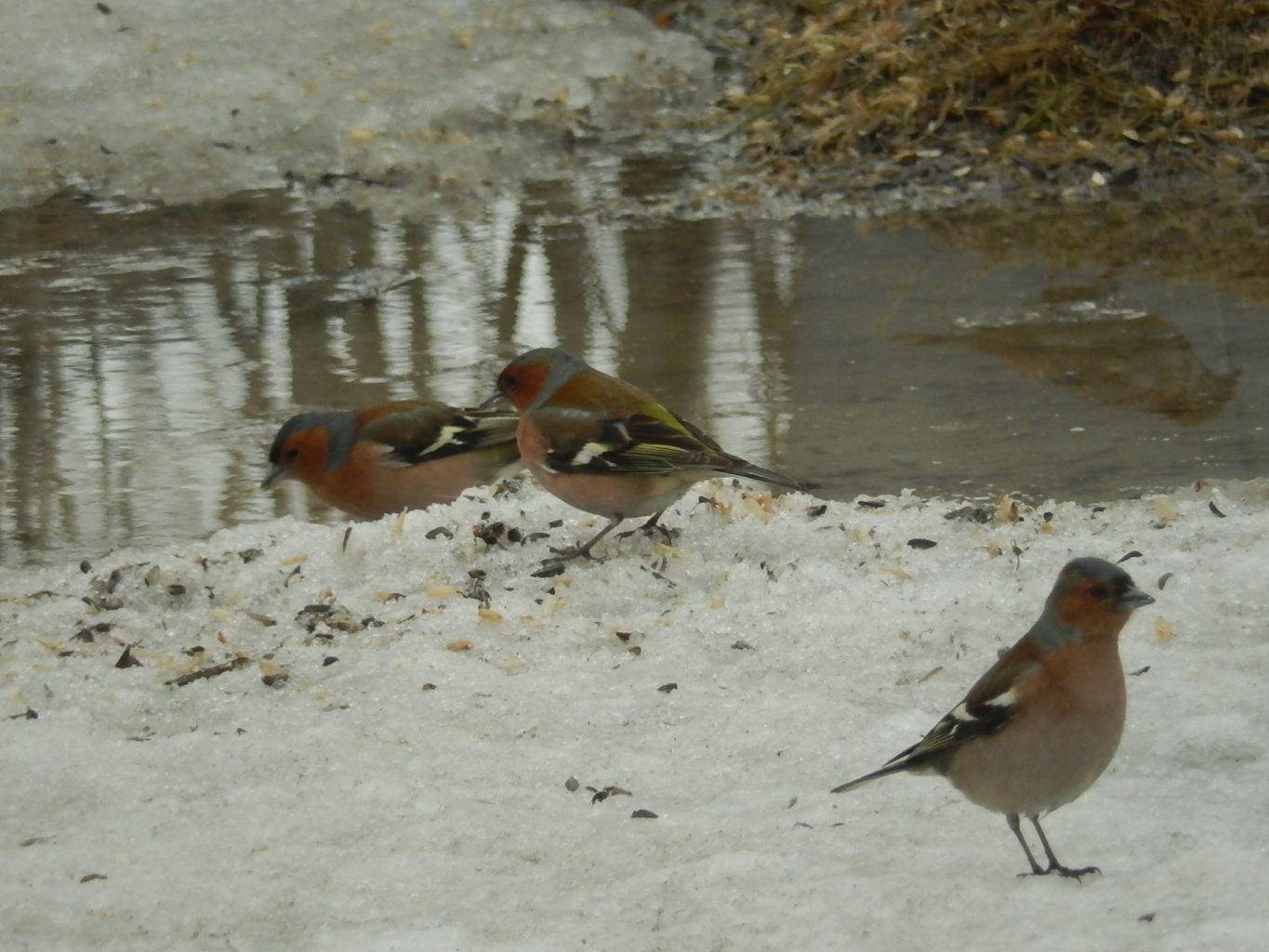Valokuvaaja: Pirkko Siukonen